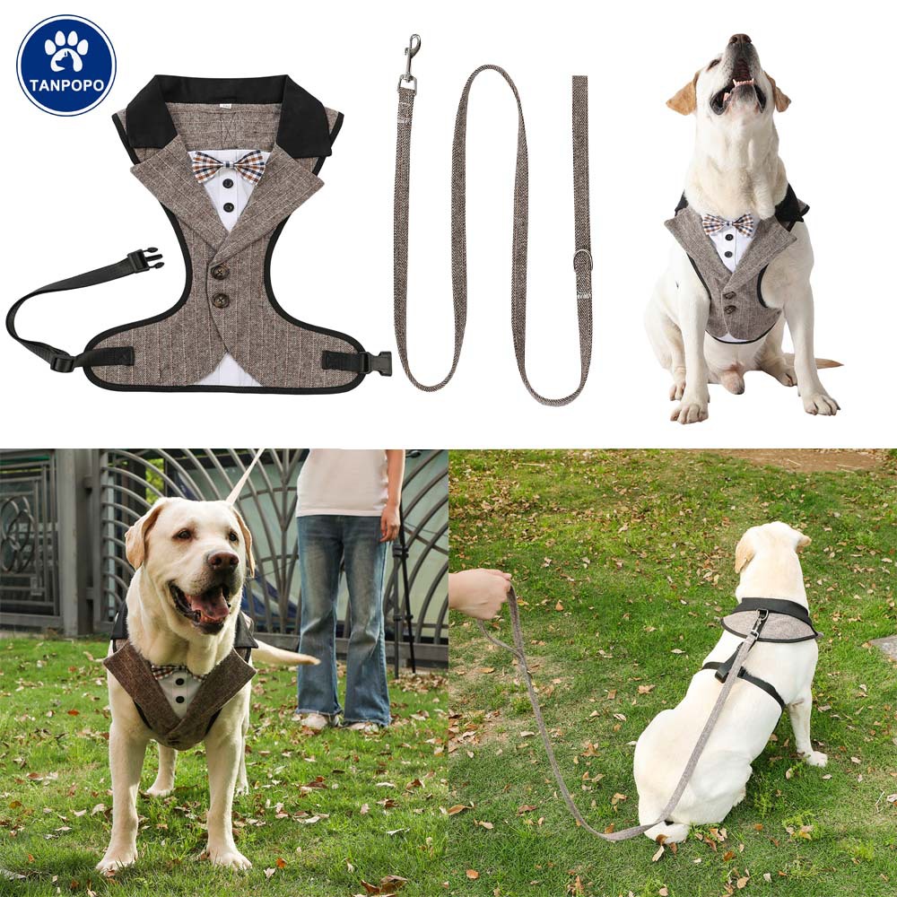 宠物西装胸背带大中小型犬
