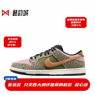 耐克 Nike Dunk SB Low Pro 男子低帮休闲潮流滑板鞋 IH3211-200