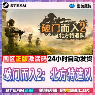 2国区激活码 Kickers 现货 破门而入2北方特遣队Door Steam正版