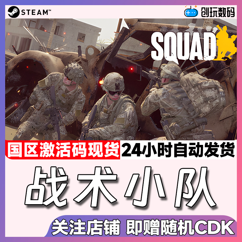 正版战术行动小组全球多人steam