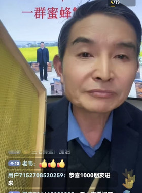 蜂状元多功能巢框标准尺寸多个蜂王繁育巢框装置配件一箱10个