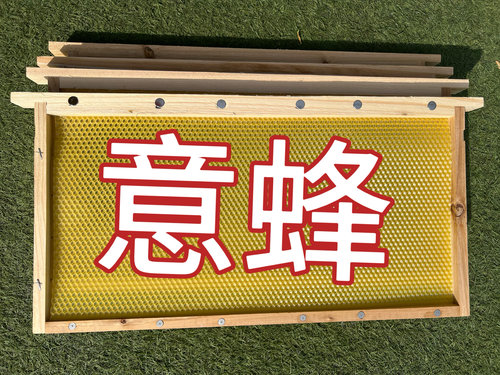 意蜂多功能多蜂王繁育装置多个蜂王6个