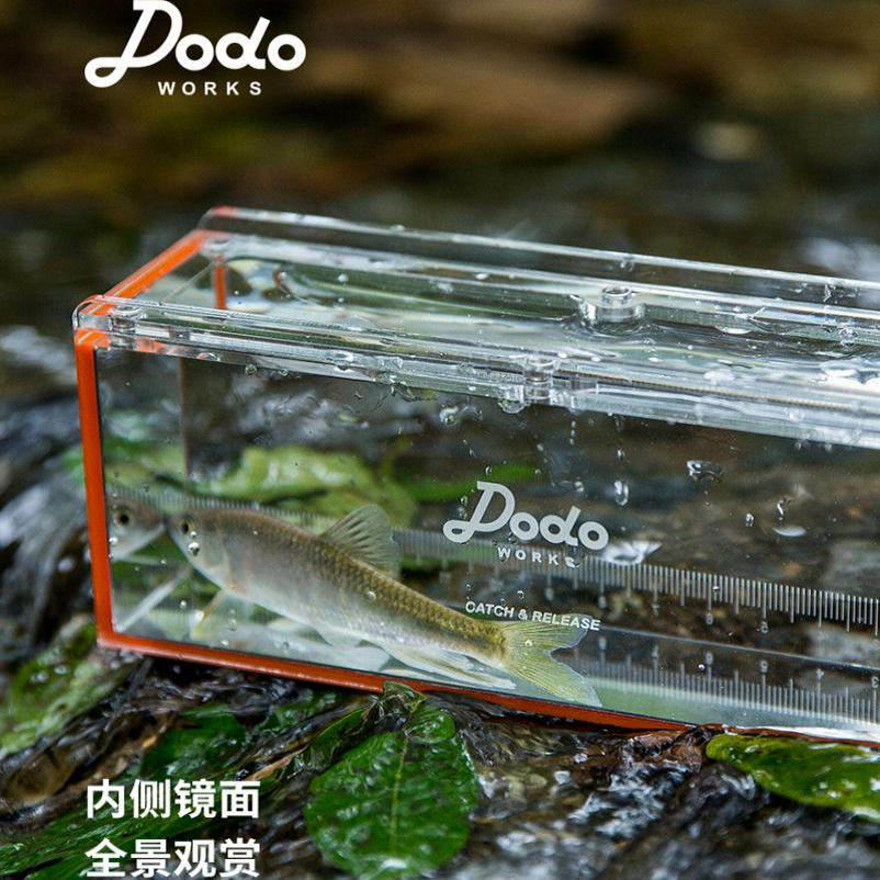 dodo渡渡鸟观鱼器装鱼桶养鱼容器溪流小物钓鳑鲏亚克力透明观鱼盒