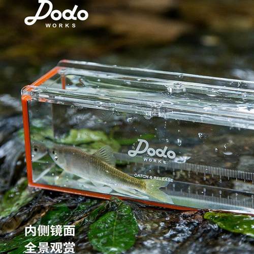 小物钓鱼竿马口户外便携
