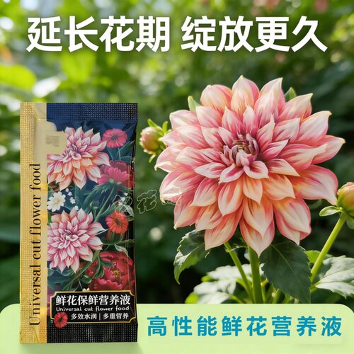 朵朵鲜妍黑金鲜花保鲜剂延长花期
