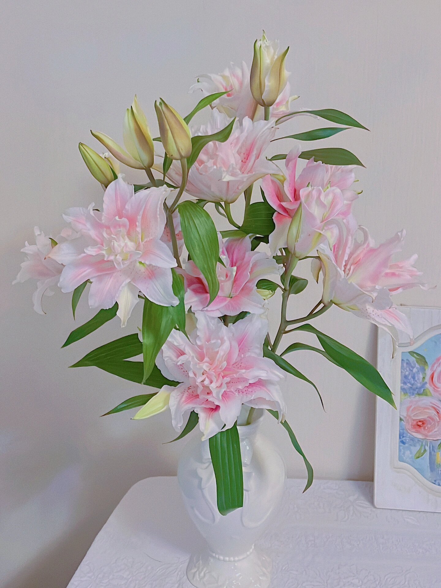 重瓣百合 伊莎贝拉 多头(1单有邮费,鲜花任意2单包邮)