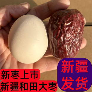 25年新枣】新疆和田大枣特级当季新货骏枣一级大枣子小吃零食干果