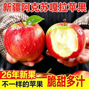 阿克苏嘎啦小苹果新疆丑苹果非冰糖心今年现摘新鲜水果不打蜡苹果