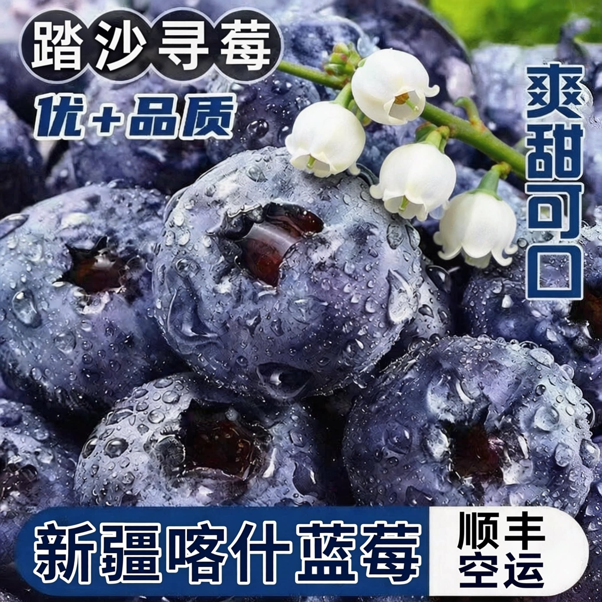 新疆喀什蓝莓现摘新鲜大果孕妇水果宝宝辅食精品礼盒（顺丰空运）