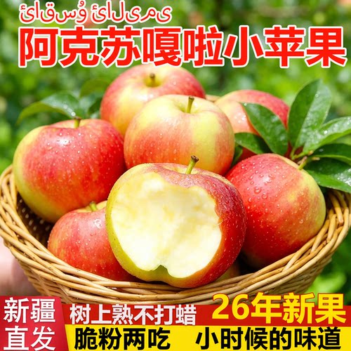 阿克苏2026新鲜苹果成熟啦