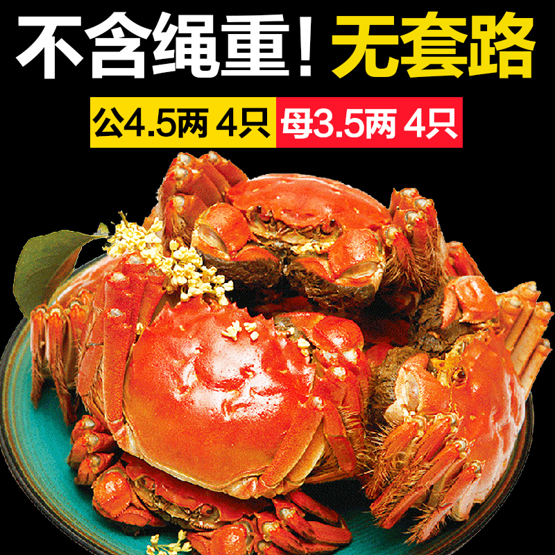 【公4.5两 母3.5两】高淳固城湖大闸蟹鲜活螃蟹全公全母毛蟹河蟹