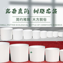 白色树脂直筒花盆不漏水垃圾桶塑料加厚种植套盆圆形接水外盆托盘