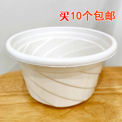 绿萝原配花盆生产厂家塑料原盆白色180型吊兰绿萝盆树脂PP育苗盆