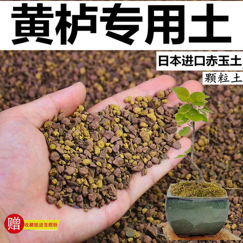 黄栌专用土赤玉土酸性土颗粒风化土营养粒泥炭土盆景土生桩种植土
