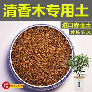 清香木专用土盆栽赤玉土风化土颗粒土孢菌肥有机肥酸性红土营养土