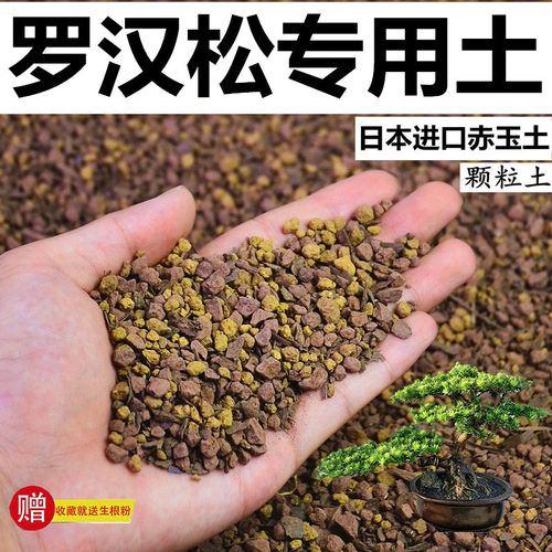 松树专用风化颗粒土酸性盆景种植