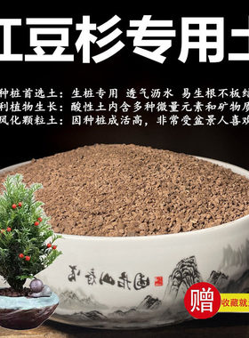 红豆杉专用土颗粒土风化土营养粒杉树盆栽土赤玉土酸性土种植土
