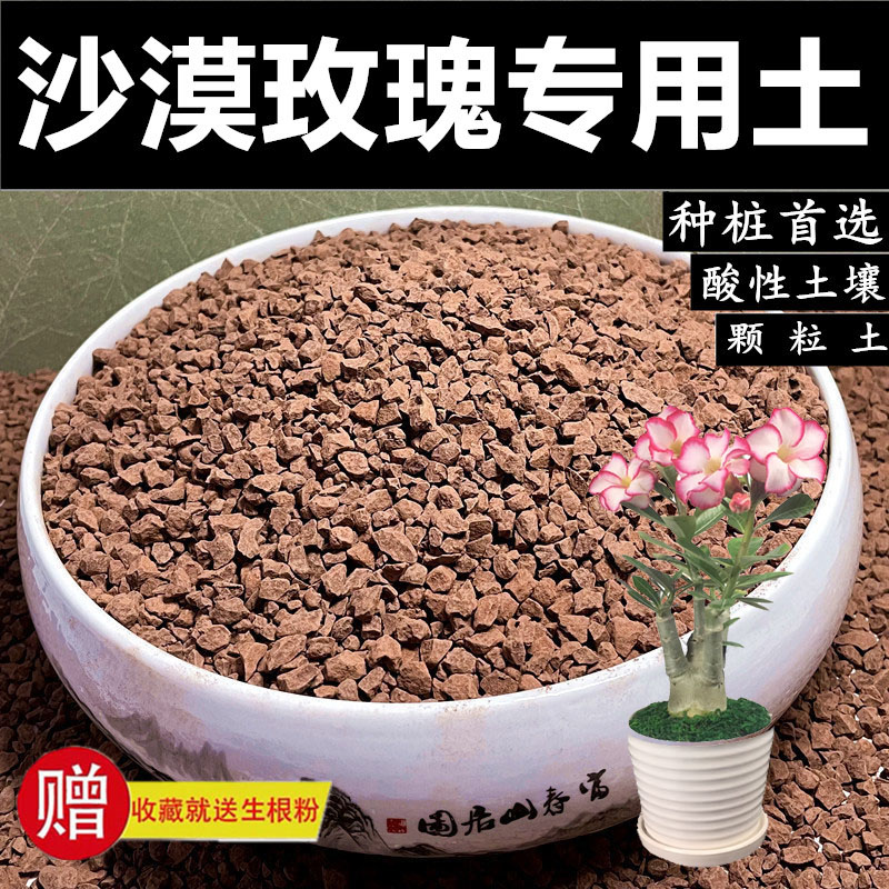 沙漠玫瑰土专用土天然风化土风化石赤玉土盆景土颗粒土种生桩种植