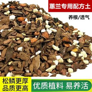蕙兰专用配方土颗粒土腐熟松鳞赤玉土珍珠岩风化土竹子碳兰花植料