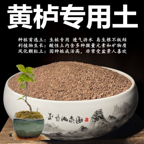 黄栌专用土颗粒土风化土风化石营养土盆景土赤玉土酸性土种植土