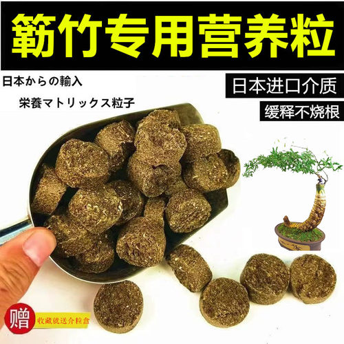 小叶簕竹勒竹专用营养粒盆景专用日本进口颗粒有机长效缓释介质