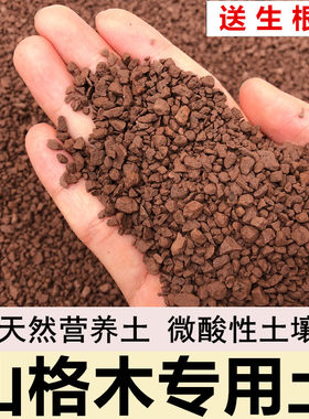 风化土专用土颗粒土扦插土赤玉土