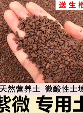 紫微专用土酸性风化颗粒土扦插土