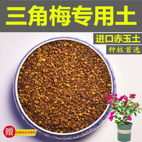 三角梅专用土盆景赤玉土风化土颗粒土营养粒有机肥酸性红土营养土