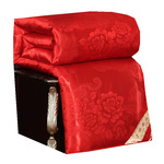 清仓婚庆大红蚕丝被100%桑蚕丝结婚红色子母被家纺加厚夏春秋冬被