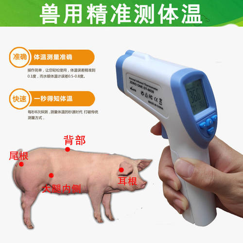 兽用宠物体温枪猫咪电子测温仪计狗狗动物温度计猪用牛红外高精度