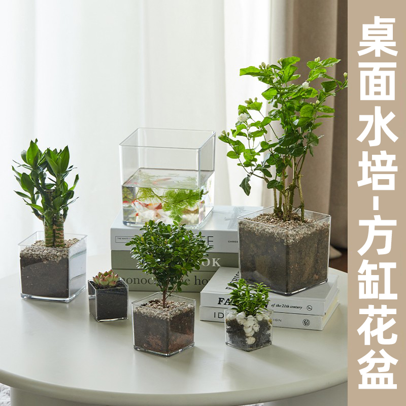 苍强水培花盆高透明正方形多肉绿植塑料方缸造型盆栽桌面摆件