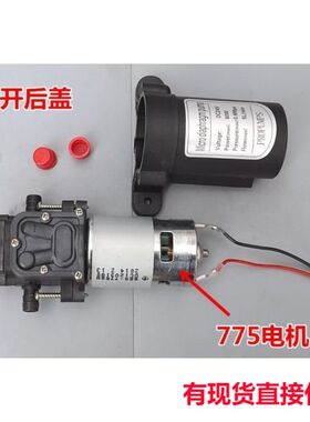 江哥隔膜泵DC24v60W家用自吸泵 高压水泵 增压泵抽水机循环泵原