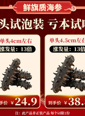 国标海参试吃淡干辽刺参2头试用装大连深海天然底播野生参送鲍鱼