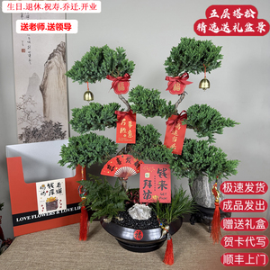 豪华双颗乔迁开业祝寿高档盆景