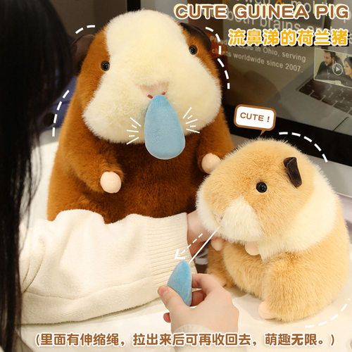 荷兰猪玩偶豚鼠公仔女生娃娃