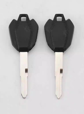 适用豪爵TR300 XCR300 DR300 芯片钥匙可邮寄原车钥匙配好
