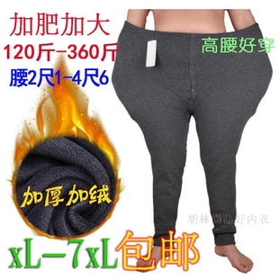 秋裤 纯棉裤 加绒加厚宽松肥佬啤酒肚300斤 保暖裤 男高腰加肥加大码