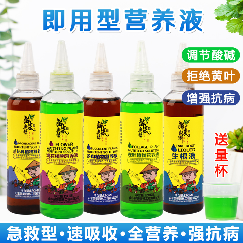 免稀释营养液植物通用多肉富贵竹