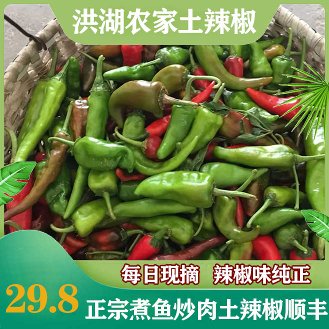 菜椒新鲜蔬菜青椒辣椒灯笼椒