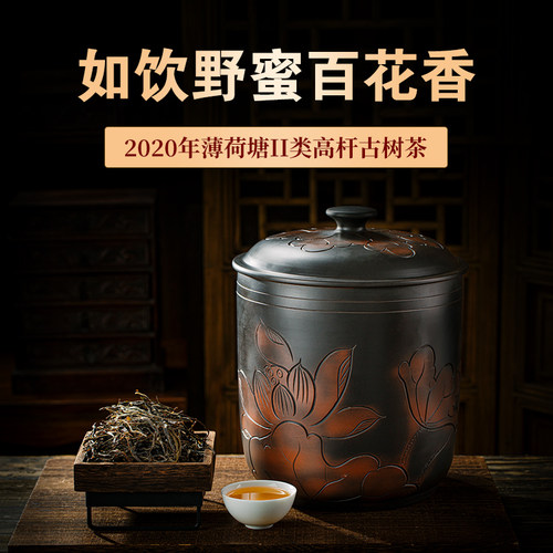 2020年薄荷塘古树头春普洱茶生茶