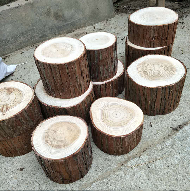 木头底座摆件树桩拍照diy装饰