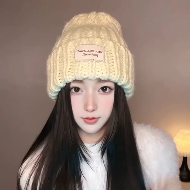 秋冬贴布毛线帽子女防寒保暖日系ins百搭韩版学院风护耳粗针织帽