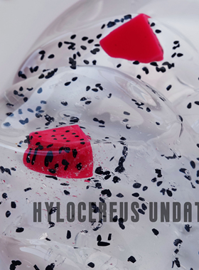 火龙果肉 9.9包邮水晶泥泰透玻璃泥木木史莱姆slime彩泥起泡胶