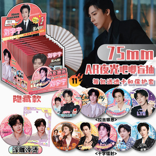 刘宇宁周边AR夜光黑科技马口铁吧唧盲盒小黑鹿也徽章谷子生日礼物