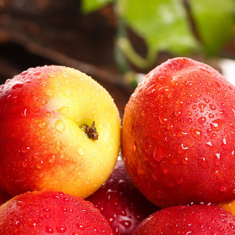 现摘的黄心油桃5斤包邮到家真甜在类目 水产肉类/新鲜蔬果/熟食, 新鲜水果, 桃中 - 来自Buy2taobao.com提供专业的淘宝代购服务