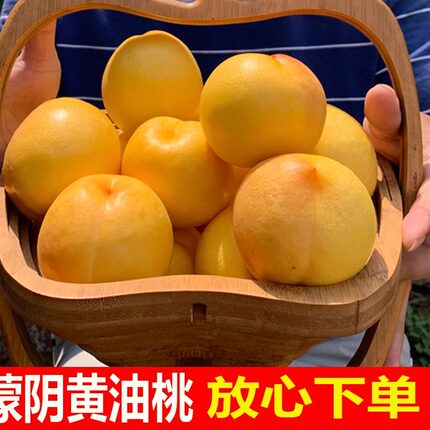 正宗山东蒙阴黄金油桃黄桃4.5斤当季新鲜脆甜黄肉蜜桃子水果现摘