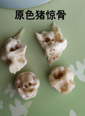 天然原色真猪惊骨新生婴儿童宝宝手工编织可调节红绳猪精骨手脚链
