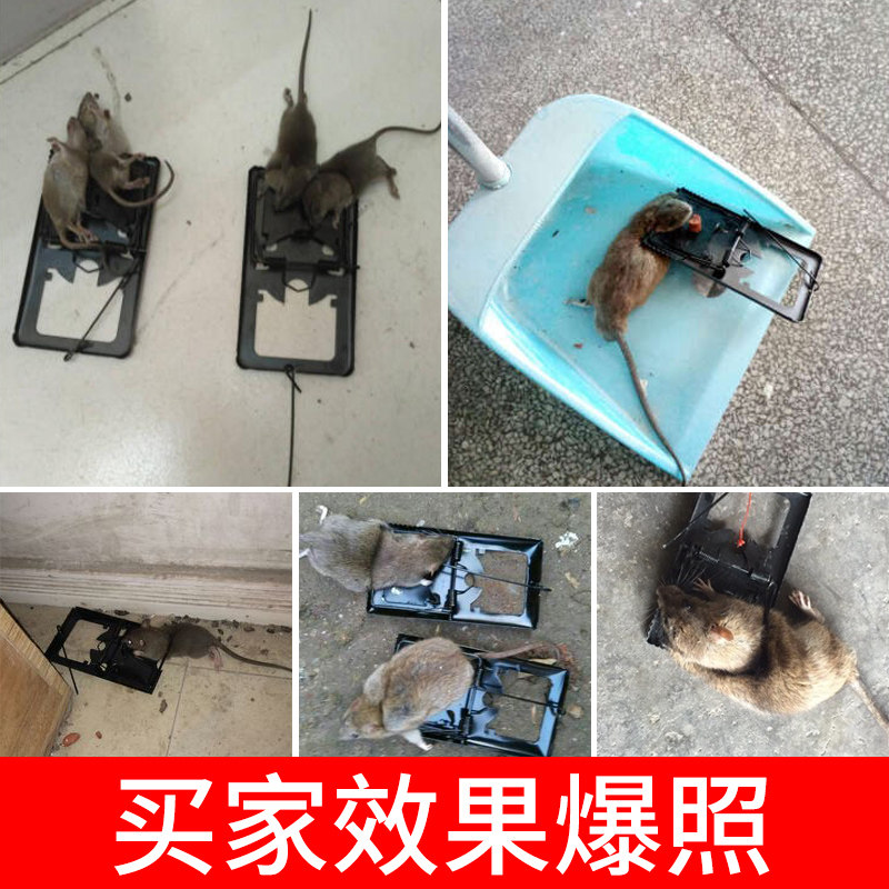 2 IRON CAGES RAT TRAPS POWERFUL MOUSE-GRABBING RATS FULLY AUTOMATIC HOUSEHOLD SUPER RAT TRAPS