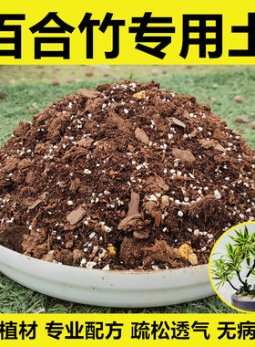 百合竹专用土进口植材无病虫害