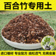 百合竹专用土竹子土竹类盆栽营养土绿植花卉通用型有机种植土肥料